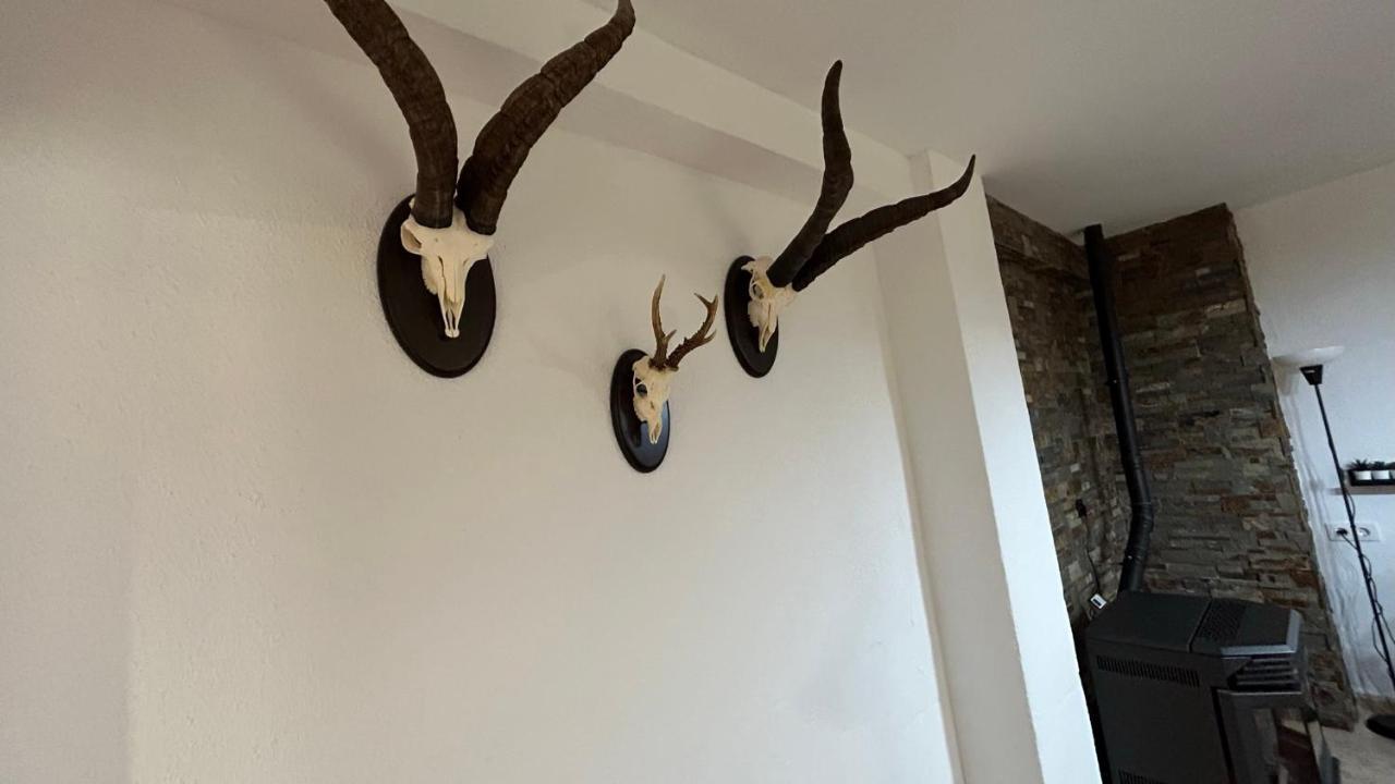 Apartament El Rincon De Alejandro Arroyo Frio
